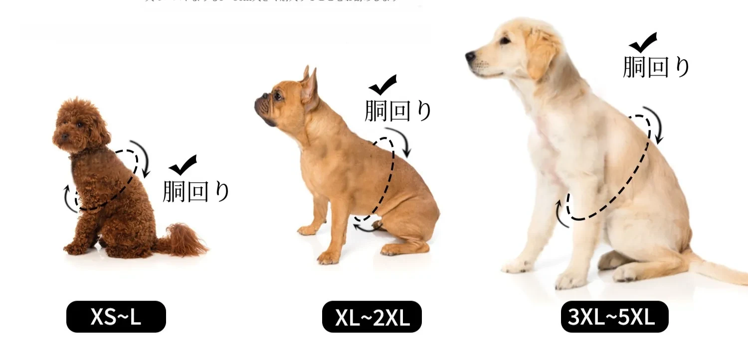 O1CN019VIwqH1PpfI4GzsHa_!!2210157861890-0-cib.jpg?x-oss-process=image/format,webp