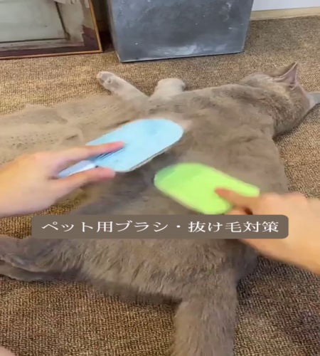 紹介動画