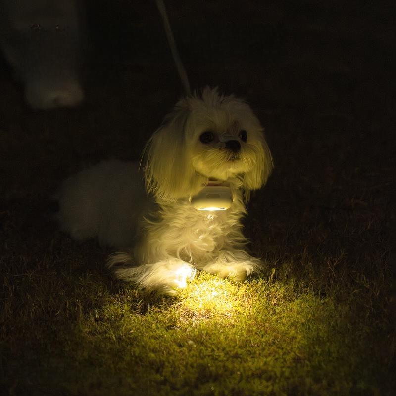 犬用・夜間散歩・発光首輪・大型犬・小型犬・迷子防止・充電式・ペット用・便利アイテム|undefined