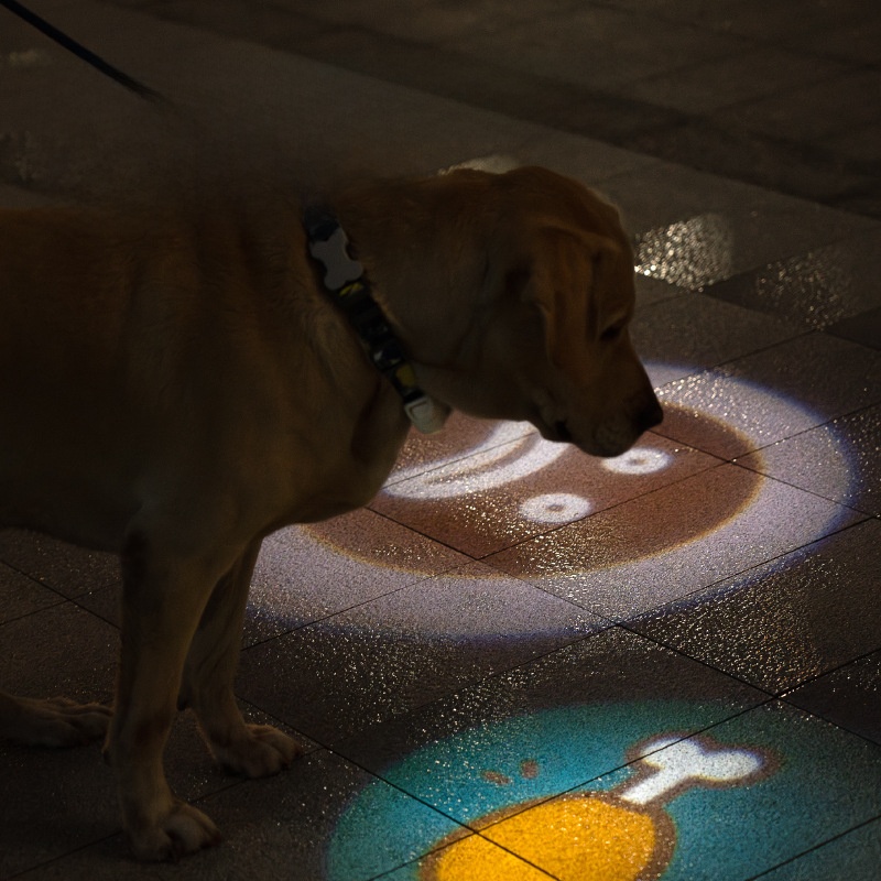 犬用・夜間散歩・発光首輪・大型犬・小型犬・迷子防止・充電式・ペット用・便利アイテム|undefined