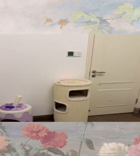 紹介動画