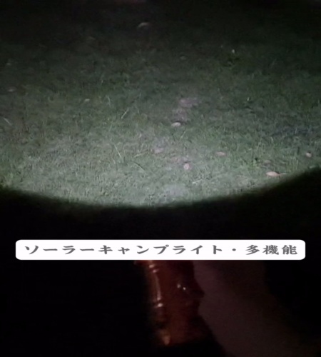 紹介動画