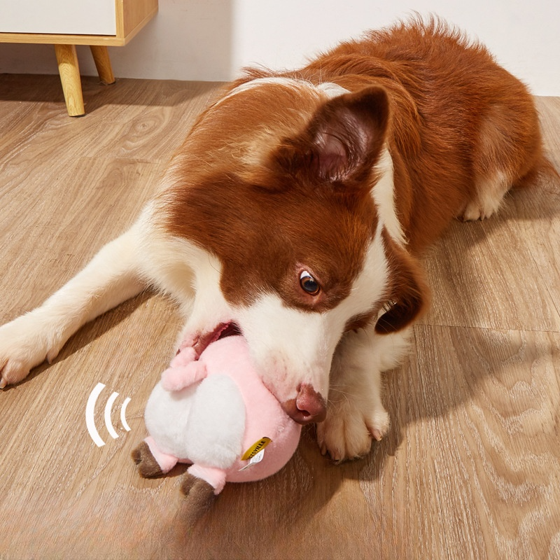 犬用おもちゃ｜音が出る・お尻型・ぬいぐるみ・噛むおもちゃ・耐久性・ペット用|undefined