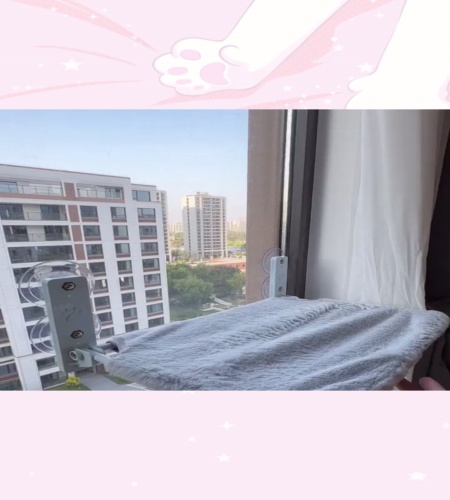 紹介動画
