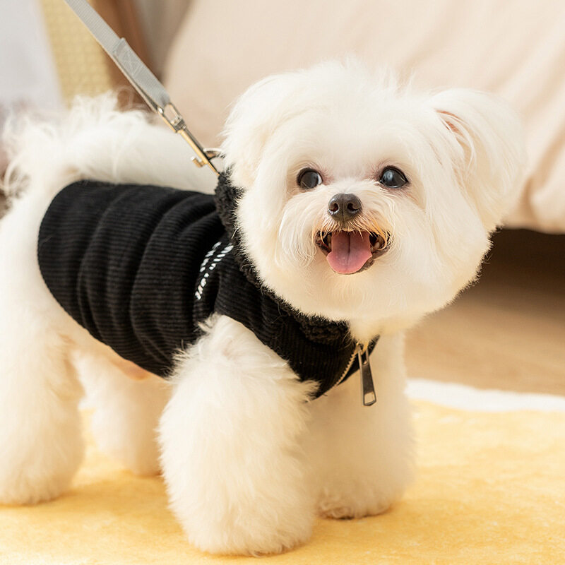 犬服｜小型犬・ジャケット・ジッパー・猫用・シンプル・フード付き|undefined