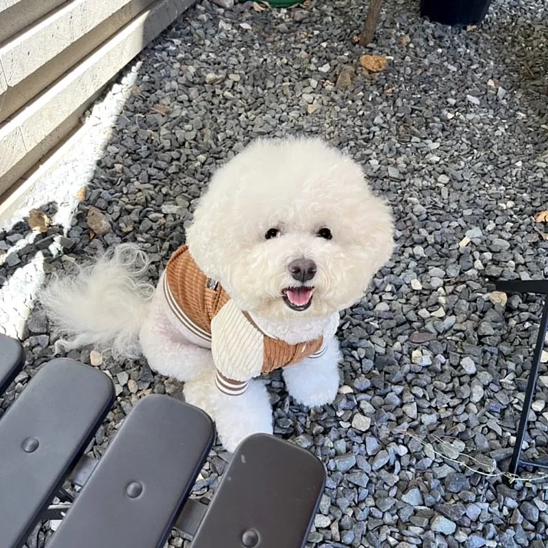 O1CN01H4dQwp1DWBCTUlZ2Q_!!2212430520223-0-cib.jpg?x-oss-process=image/format,webp