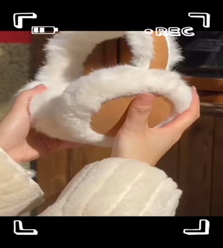紹介動画