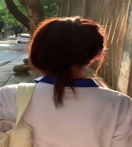 紹介動画