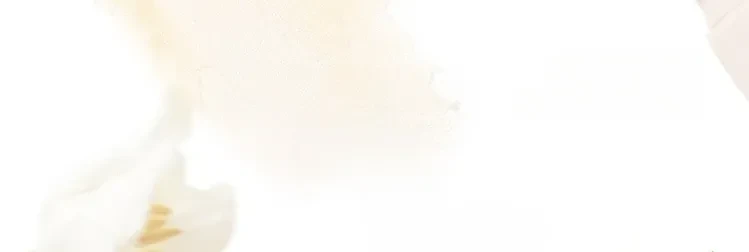 O1CN01oAjgl31UKalGiLDId_!!989962499-0-cib.jpg?x-oss-process=image/format,webp