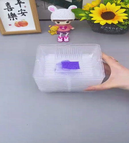 紹介動画