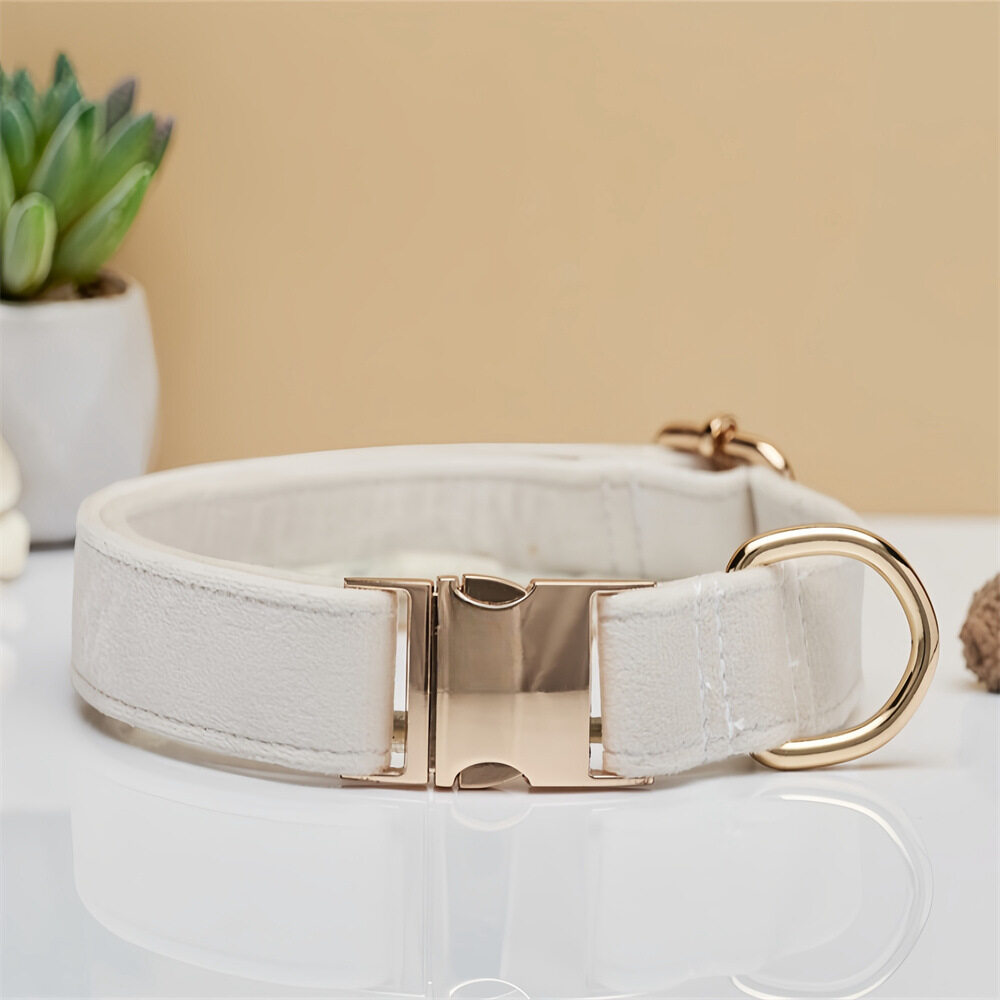 ペット用首輪｜犬用・ベルベット・金属バックル・質感ある・シンプル|undefined