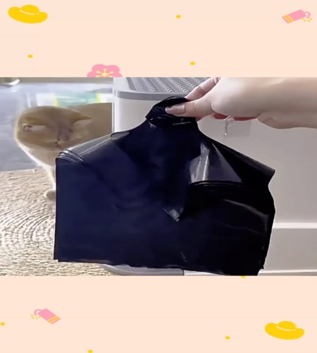 紹介動画