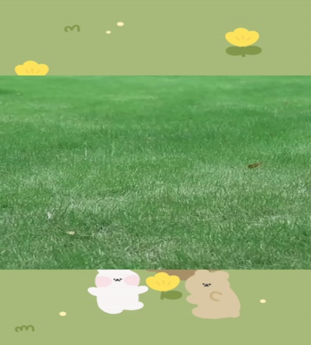 紹介動画
