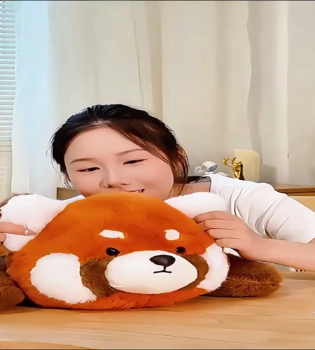 紹介動画