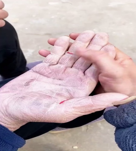 紹介動画