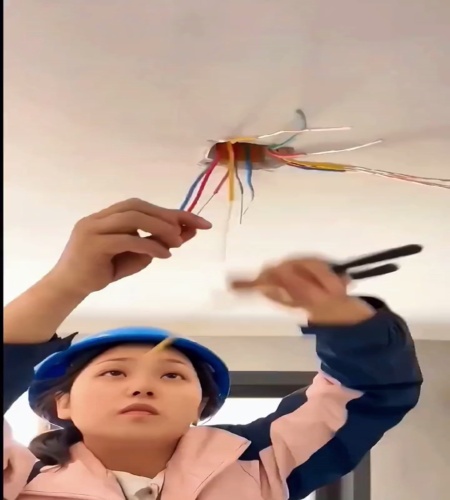 紹介動画