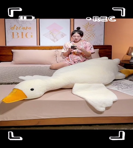 紹介動画