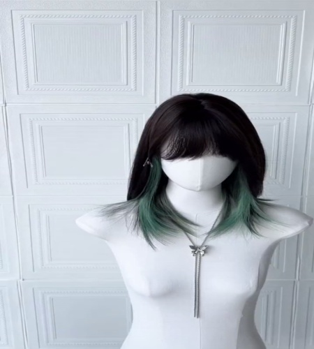 紹介動画