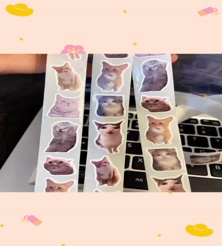 紹介動画