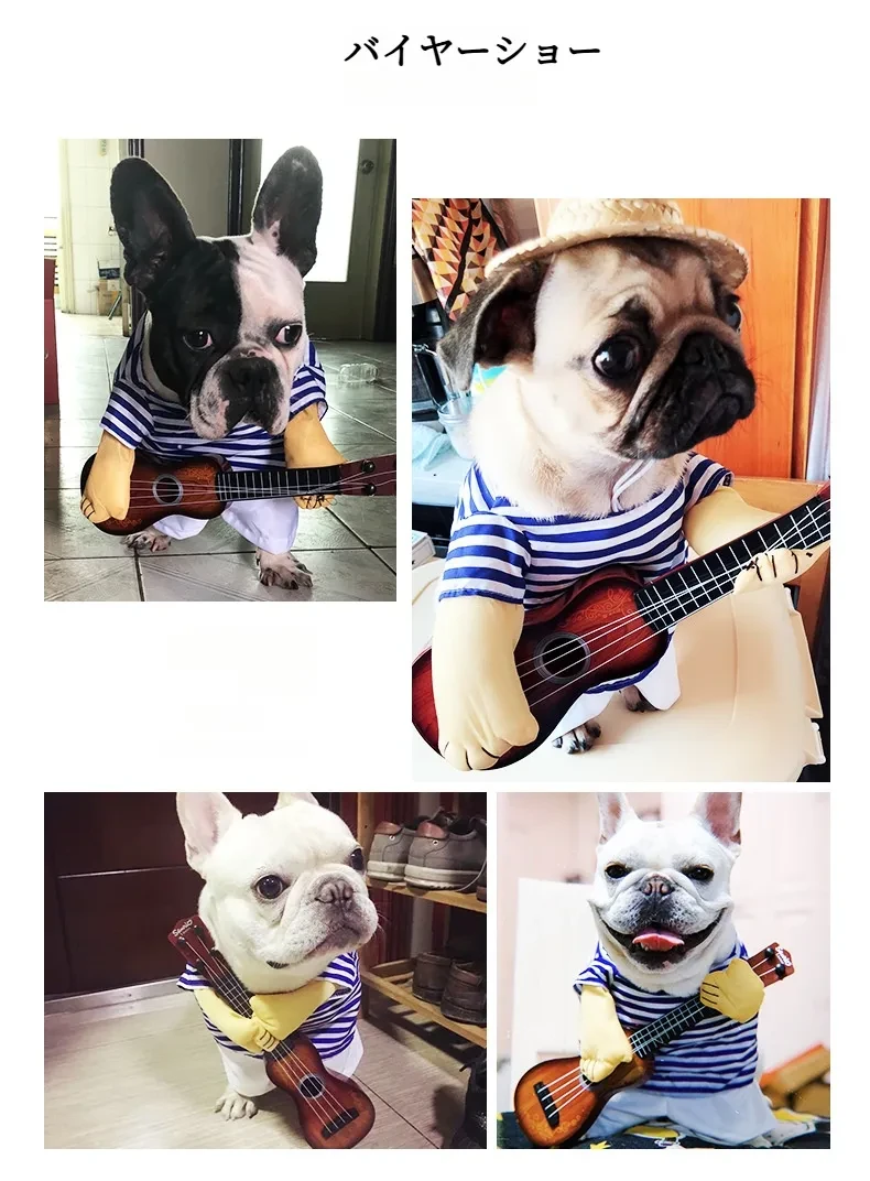 11145217069_1748840702.jpg?x-oss-process=image/format,webp