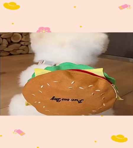 紹介動画