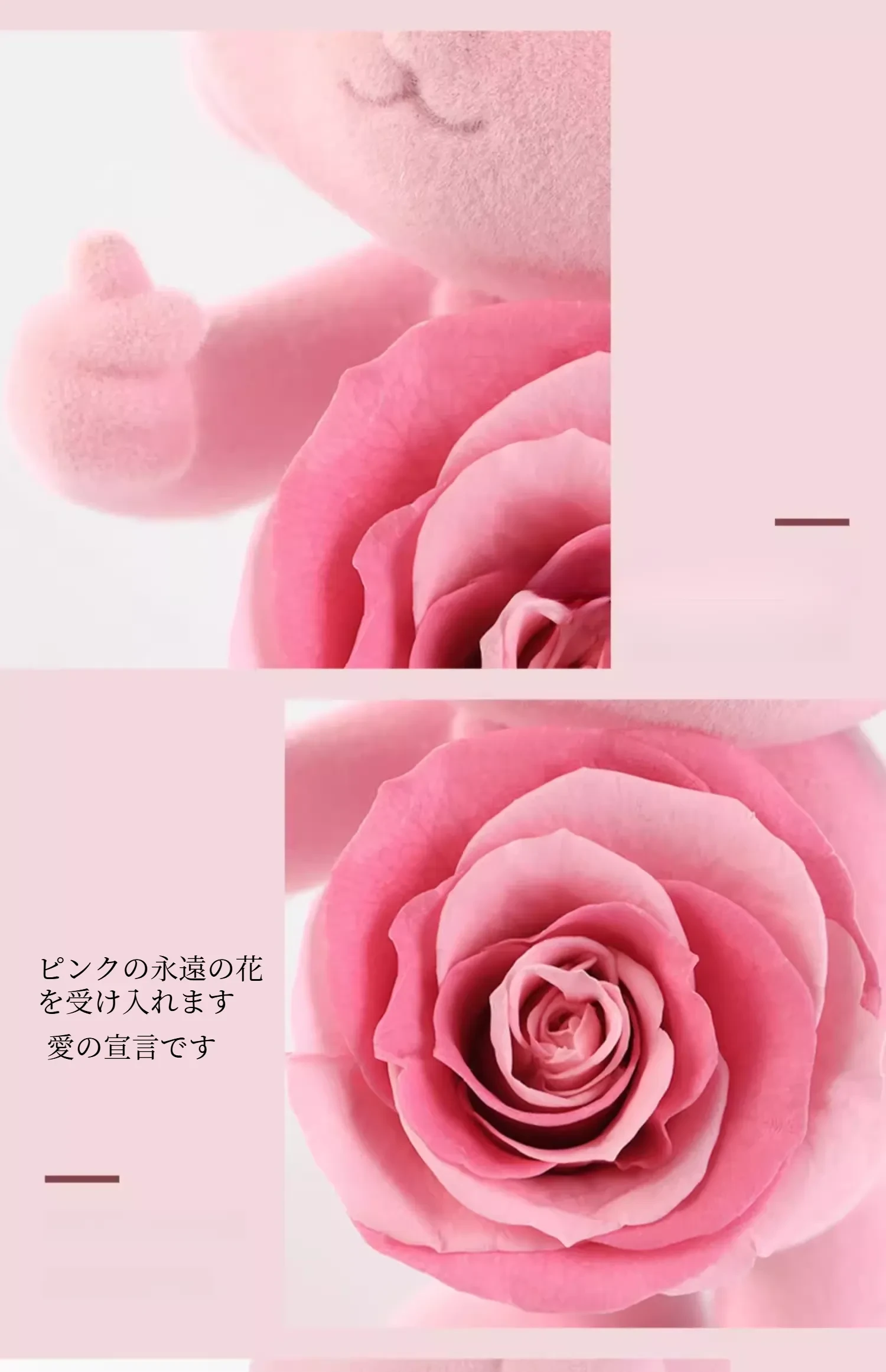 797427168702533632.png?x-oss-process=image/format,webp