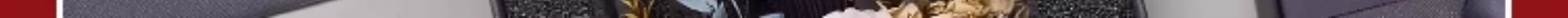 O1CN01zhn3Sz1IGDanYPFU1_!!2405490865.jpg?x-oss-process=image/format,webp