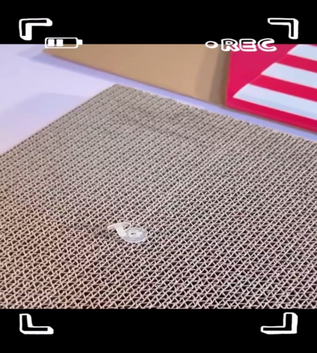 紹介動画