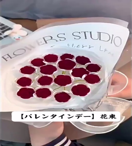 紹介動画