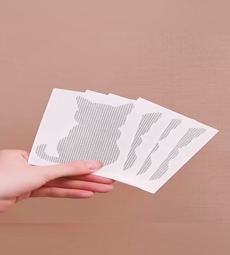 紹介動画