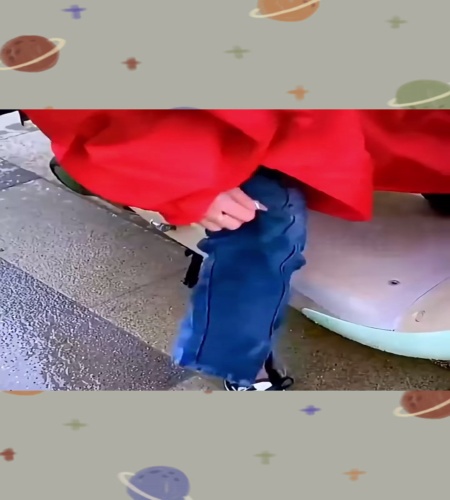紹介動画