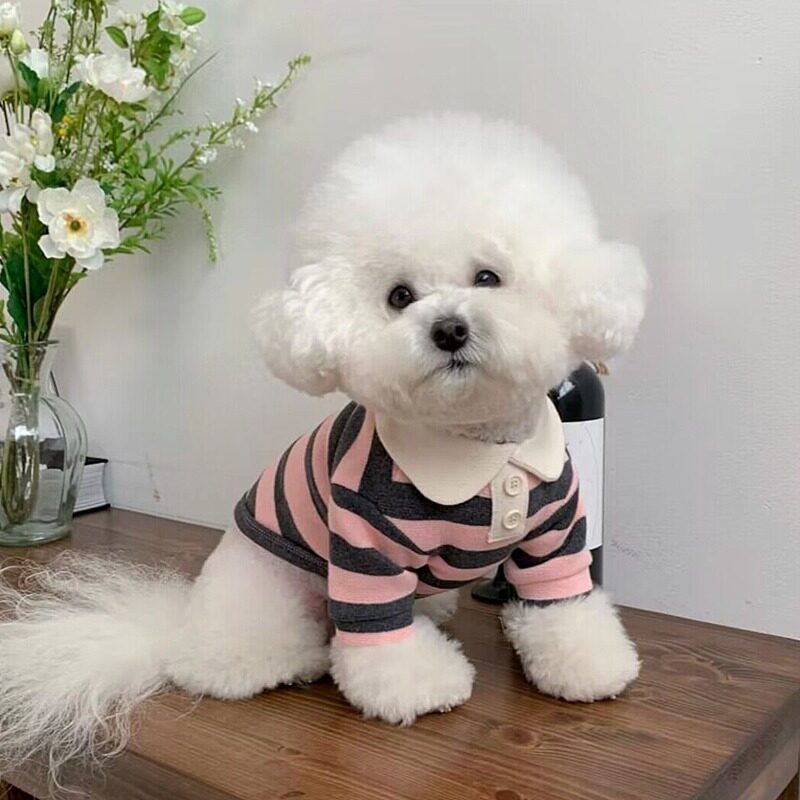 ペット服｜春用・ストライプ・ポロシャツ・薄手・小型犬・子犬・猫・ペット用|undefined