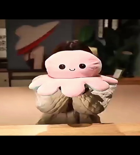 紹介動画