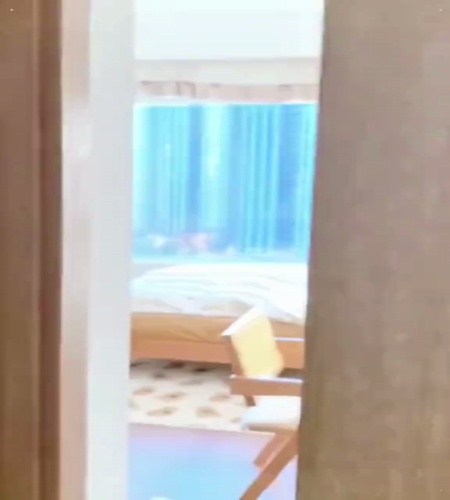 紹介動画