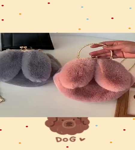 紹介動画