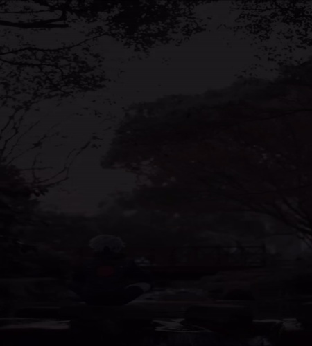 紹介動画