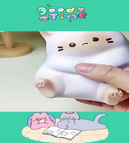 紹介動画