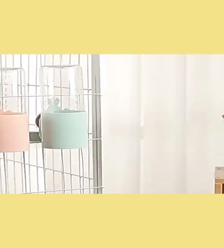 紹介動画