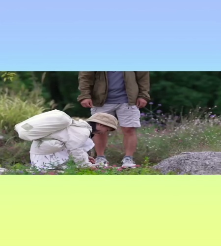 紹介動画