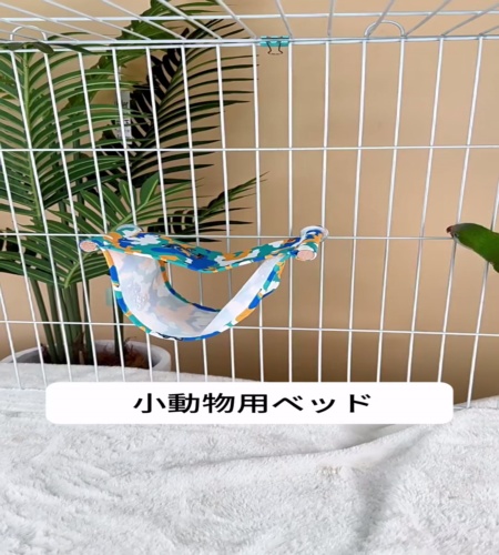 紹介動画