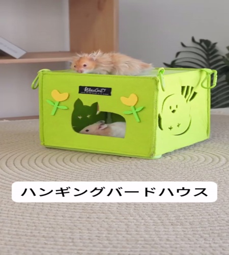 紹介動画