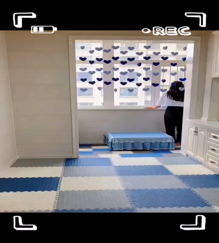 紹介動画