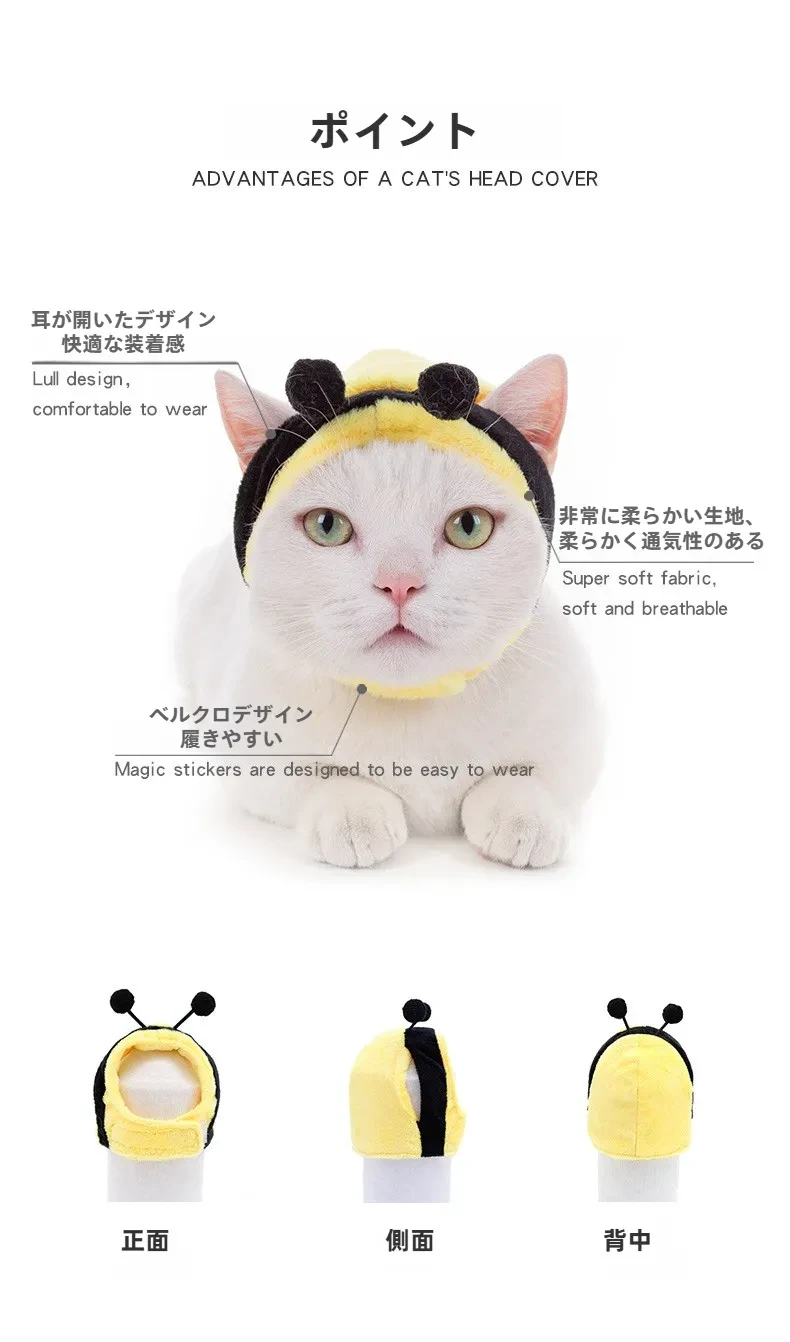 12564041480_1862507483.jpg?x-oss-process=image/format,webp