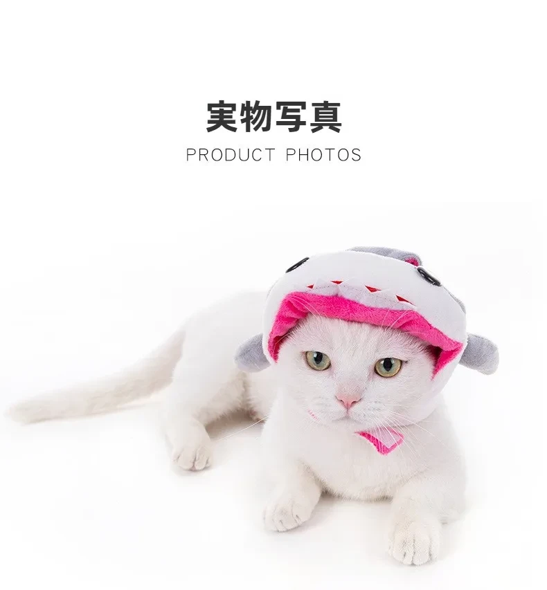 12564059048_1862507483.jpg?x-oss-process=image/format,webp