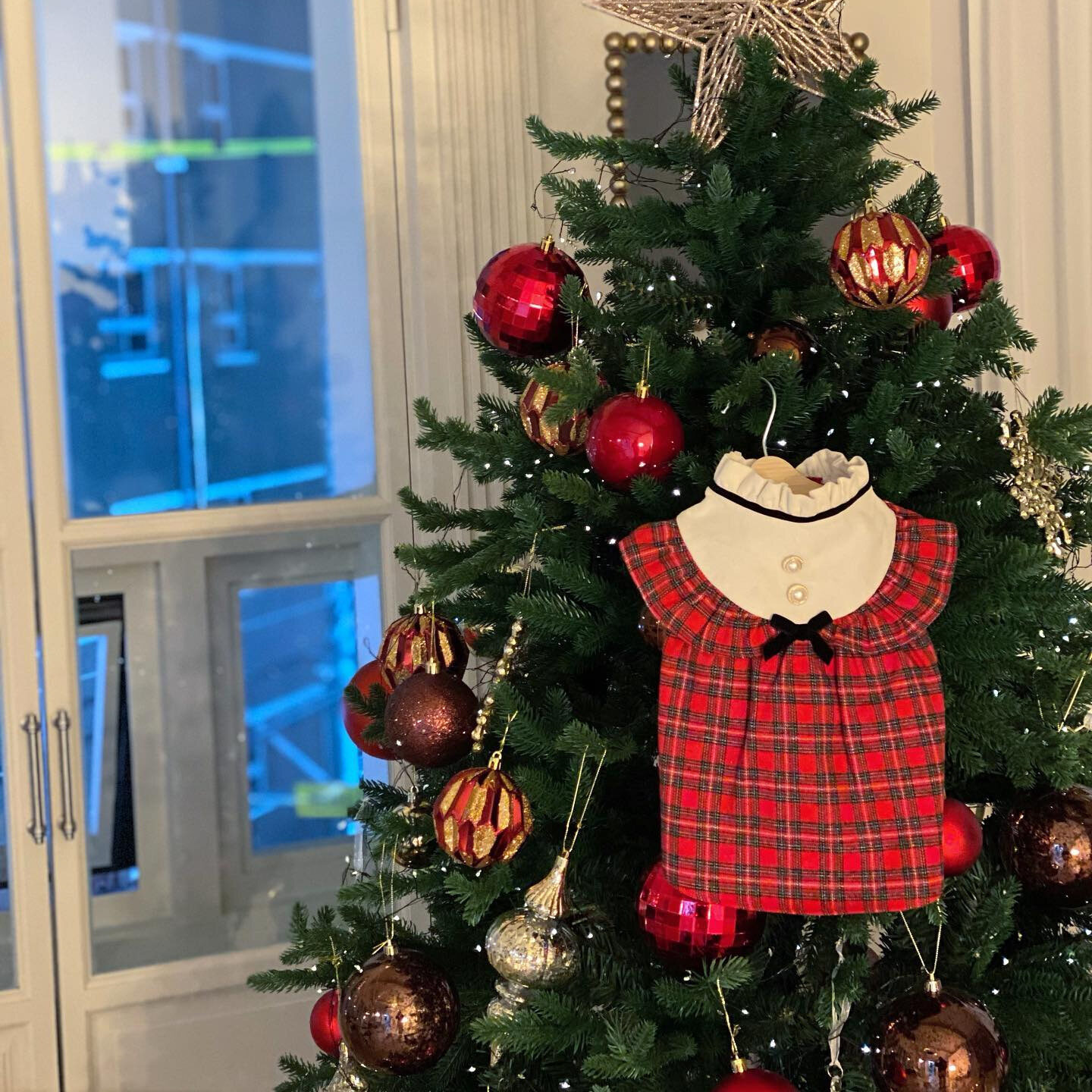ペット服｜レッドチェック・プリンセススカート・立ち襟・ペット用・クリスマス・おしゃれ・かわいい|undefined