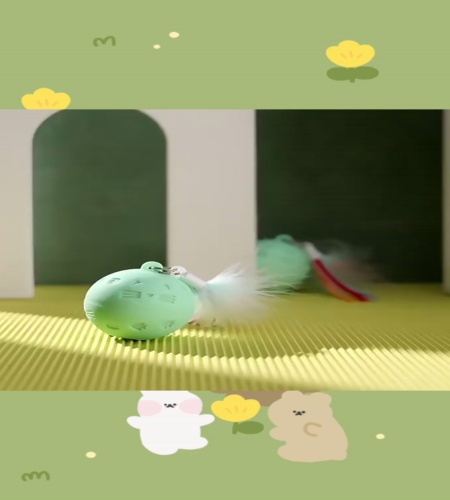 紹介動画