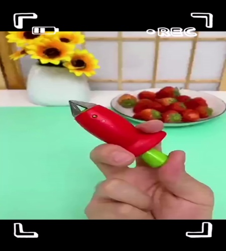 紹介動画