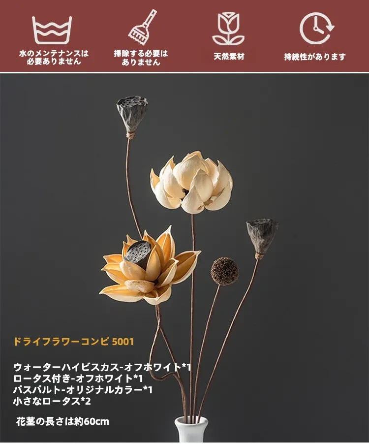 O1CN01qQiSey2AdYivCsTxo_!!4009568226-0-cib.jpg?x-oss-process=image/format,webp