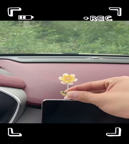 紹介動画