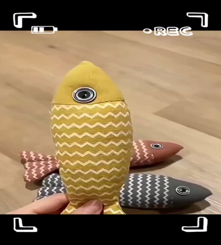 紹介動画